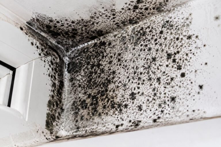 Mold-infested air duct