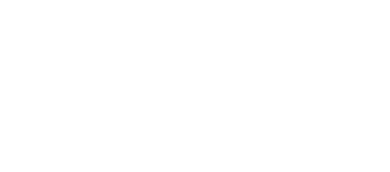 Licensed-Insured icon